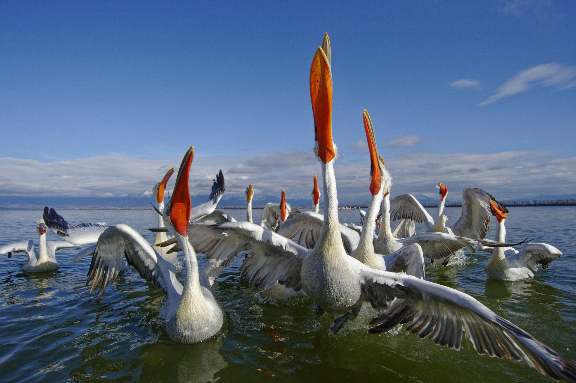 Λίμνη Κερκίνη, Ελλάδα