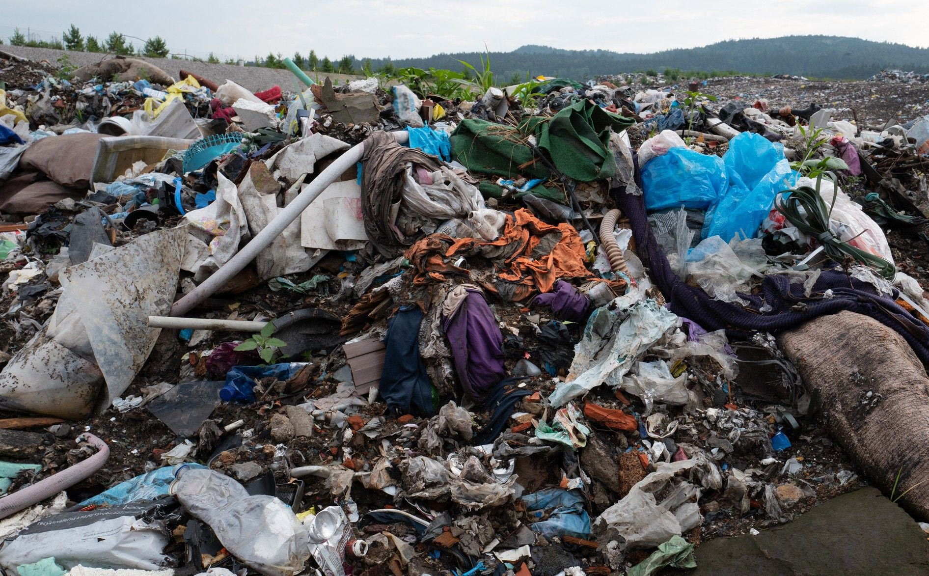 Τα μικροπλαστικά και η σχέση τους με το fast fashion