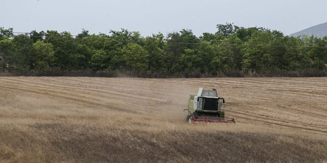 Χωράφι (φωτογραφία αρχείου)