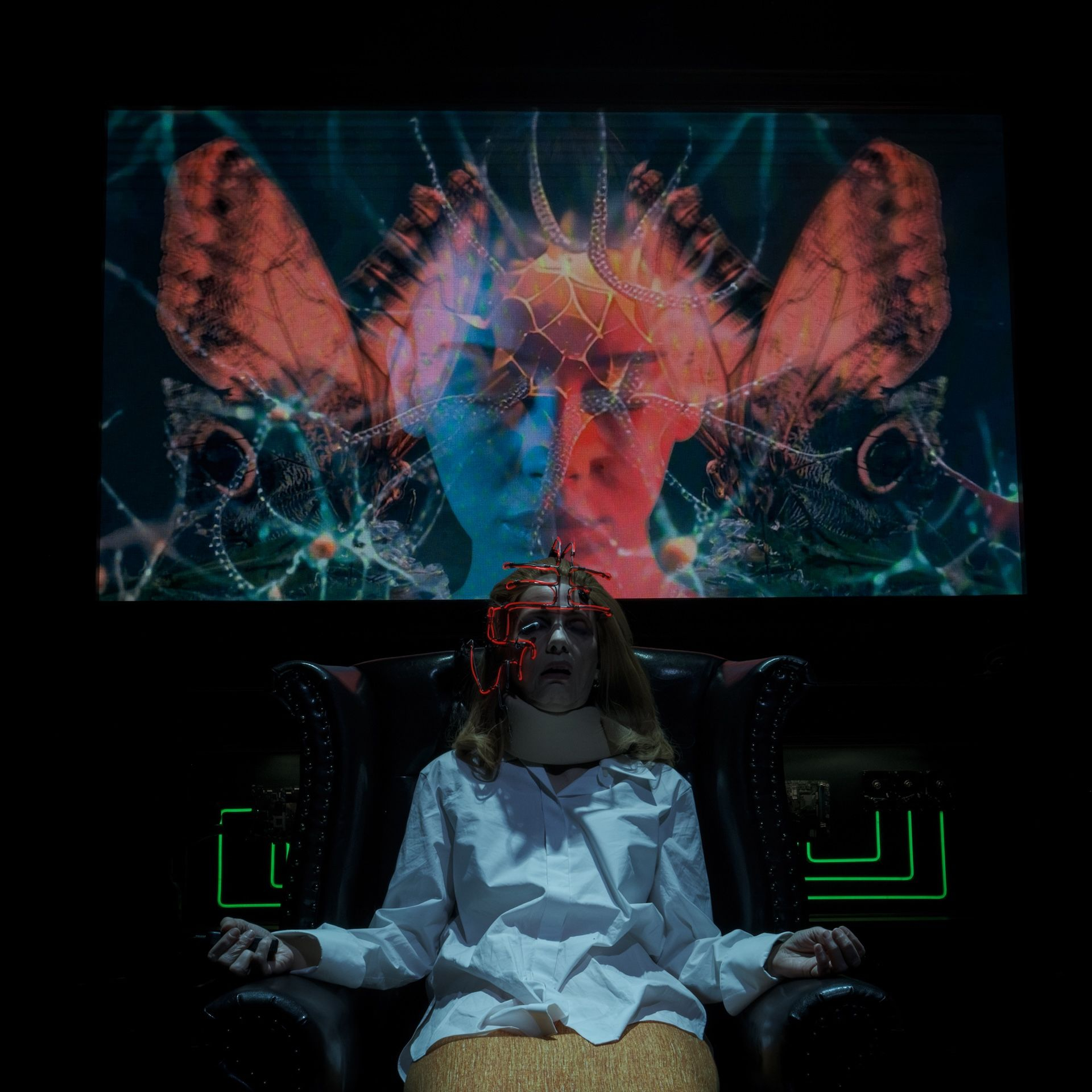 Frankenstein & Eliza