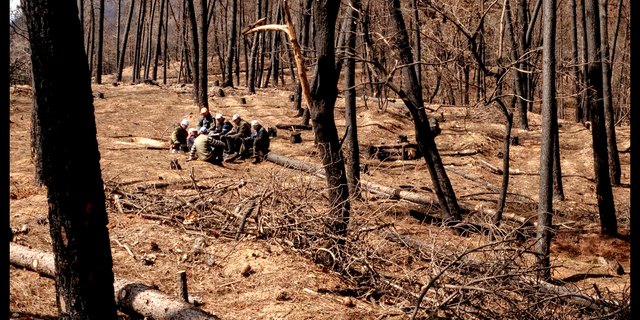 Δωρεάν στην πόλη την Πέμπτη 12 Δεκεμβρίου – 3 εκδηλώσεις χωρίς είσοδο