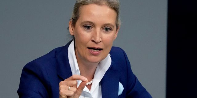 Γερμανία: Μυστική συνάντηση βουλευτών της AfD με νεοναζιστικές ομάδες στην Ελβετία