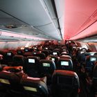 Κατσαρίδες εν πτήσει σε αεροσκάφος της Air India