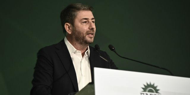 Νίκος Ανδρουλάκης