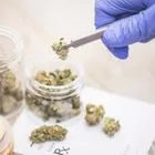 Κάνναβη για φαρμακευτική χρήση