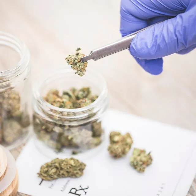 Κάνναβη για φαρμακευτική χρήση