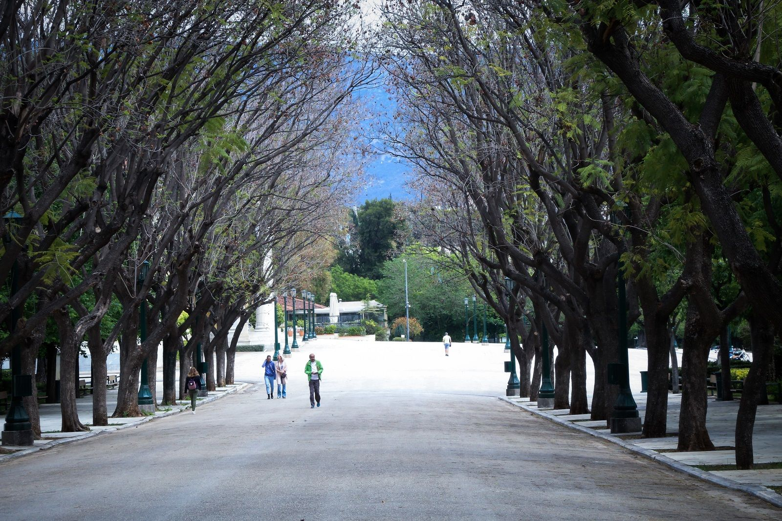 Ο Εθνικός Κήπος
