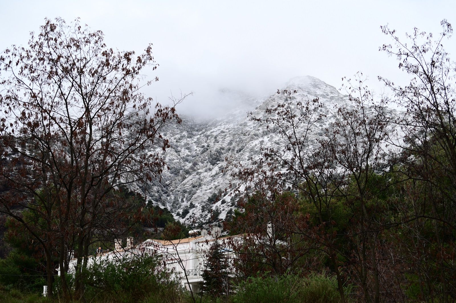 Χιονόπτωση στα βόρεια προάστια της Αττικής.