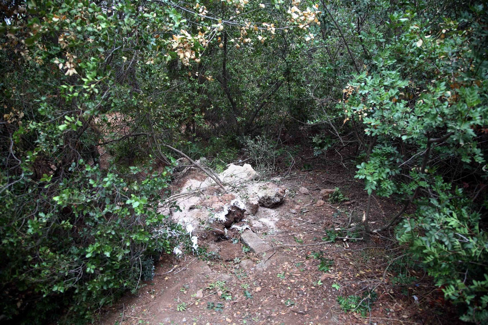 Έγκλημα στη Φιλοθέη