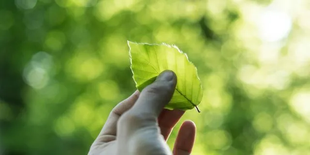 Μια “κυψέλη” καινοτομίας για τις βιοεπιστήμες στη Θεσσαλονίκη