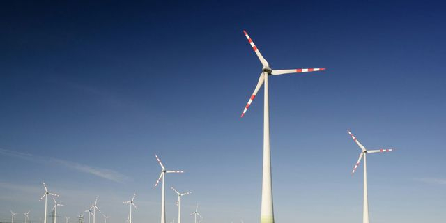 Σύνδεση αμοιβών με επιδόσεις βιωσιμότητας για τις επιχειρήσεις
