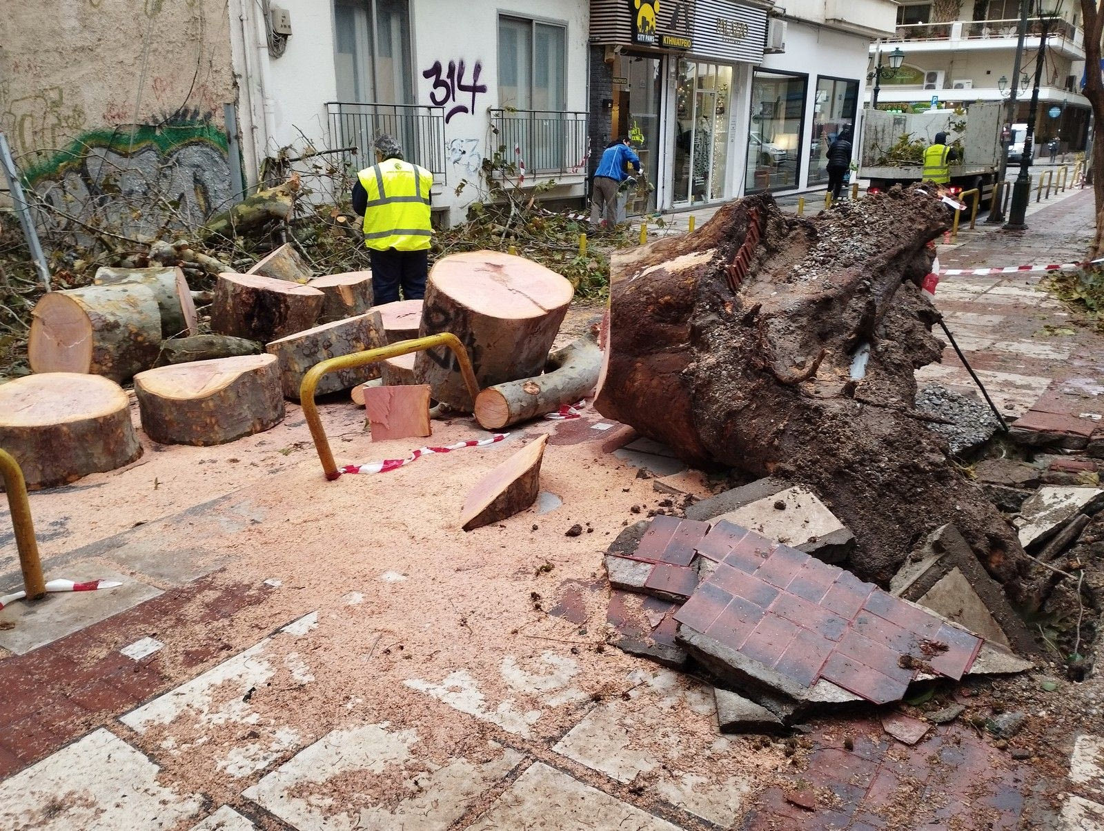 Συνεργεία του δήμου Θεσσαλονίκης καθαρίζουν παράπλευρους δρόμους από κορμούς και κλαδιά που έριξαν οι χθεσινού άνεμοι