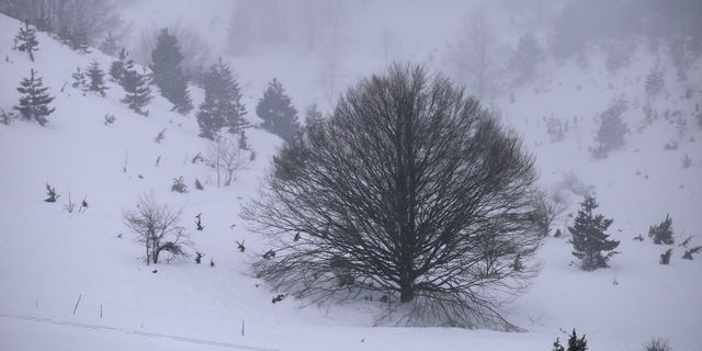 Χιονοδρομικό κέντρο Σελίου