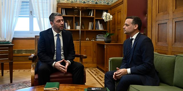 Νίκος Ανδρουλάκης Χάρης Δούκας