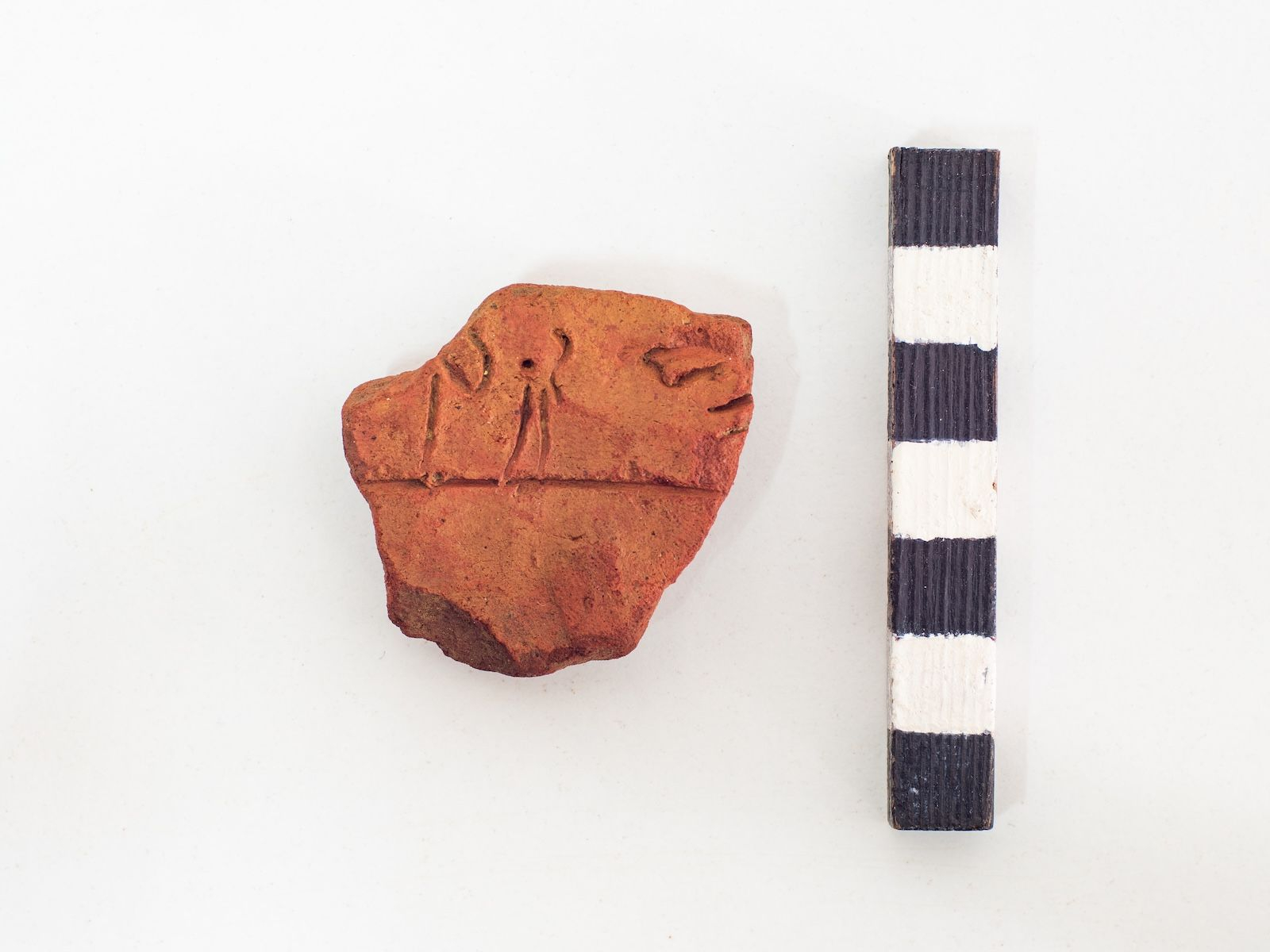 Οι δύο όψεις της πήλινης ετικέτας με επιγραφή στην Γραμμική Β΄ γραφή.