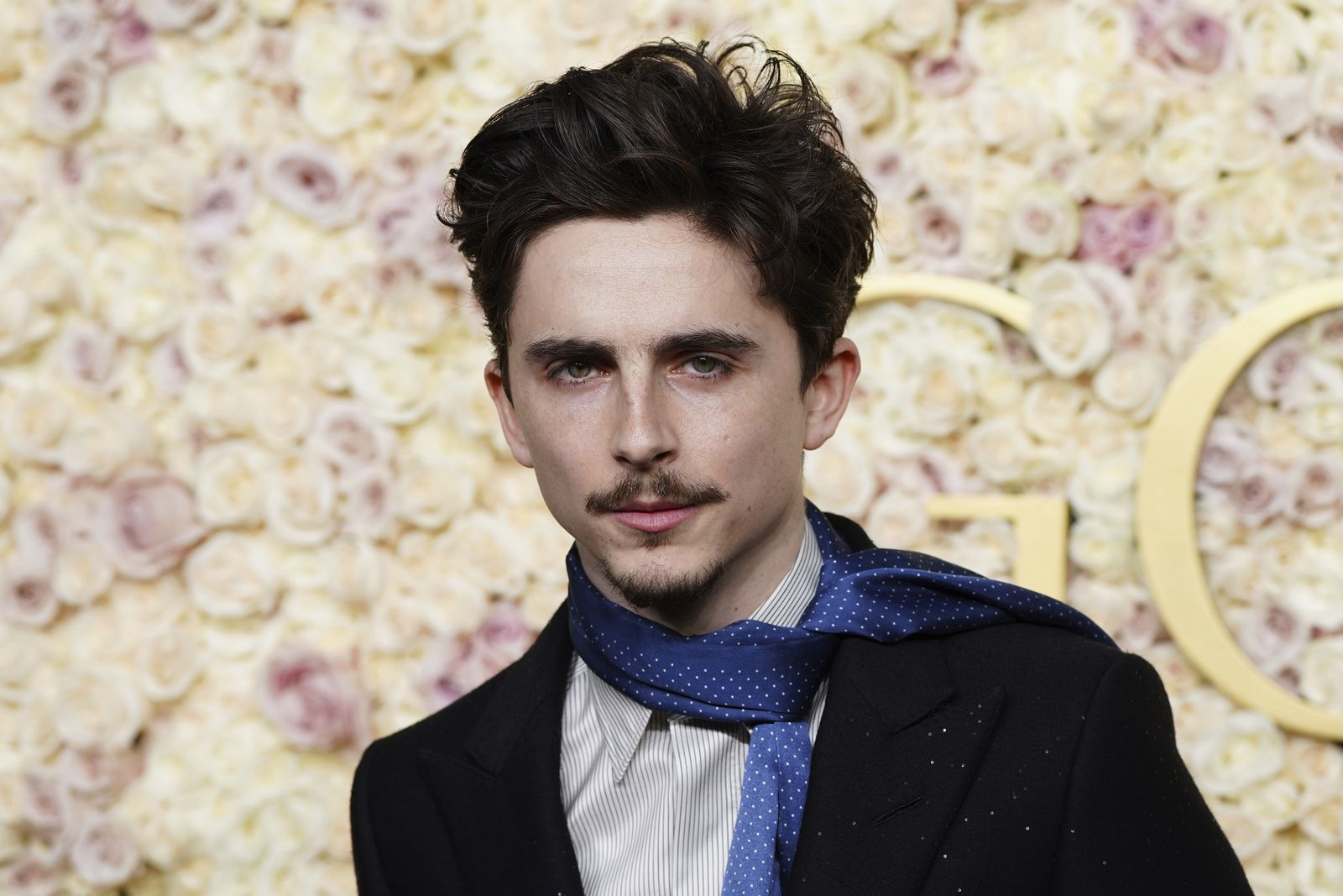 Ο Timothee Chalamet στις Χρυσές Σφαίρες