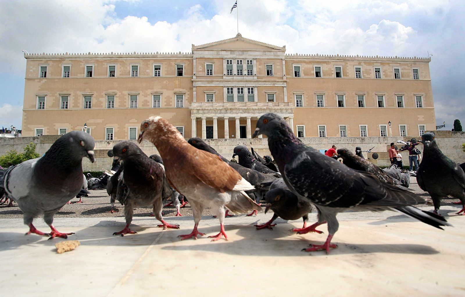 Περιστέρια στο Σύνταγμα