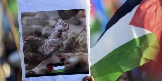 March to Gaza: Ελεύθεροι οι Έλληνες που κρατούνταν στο αεροδρόμιο του Καΐρου