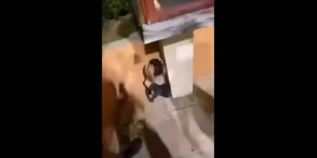 Ακροδεξιοί στην Κομοτηνή τρομοκρατούν ανήλικο