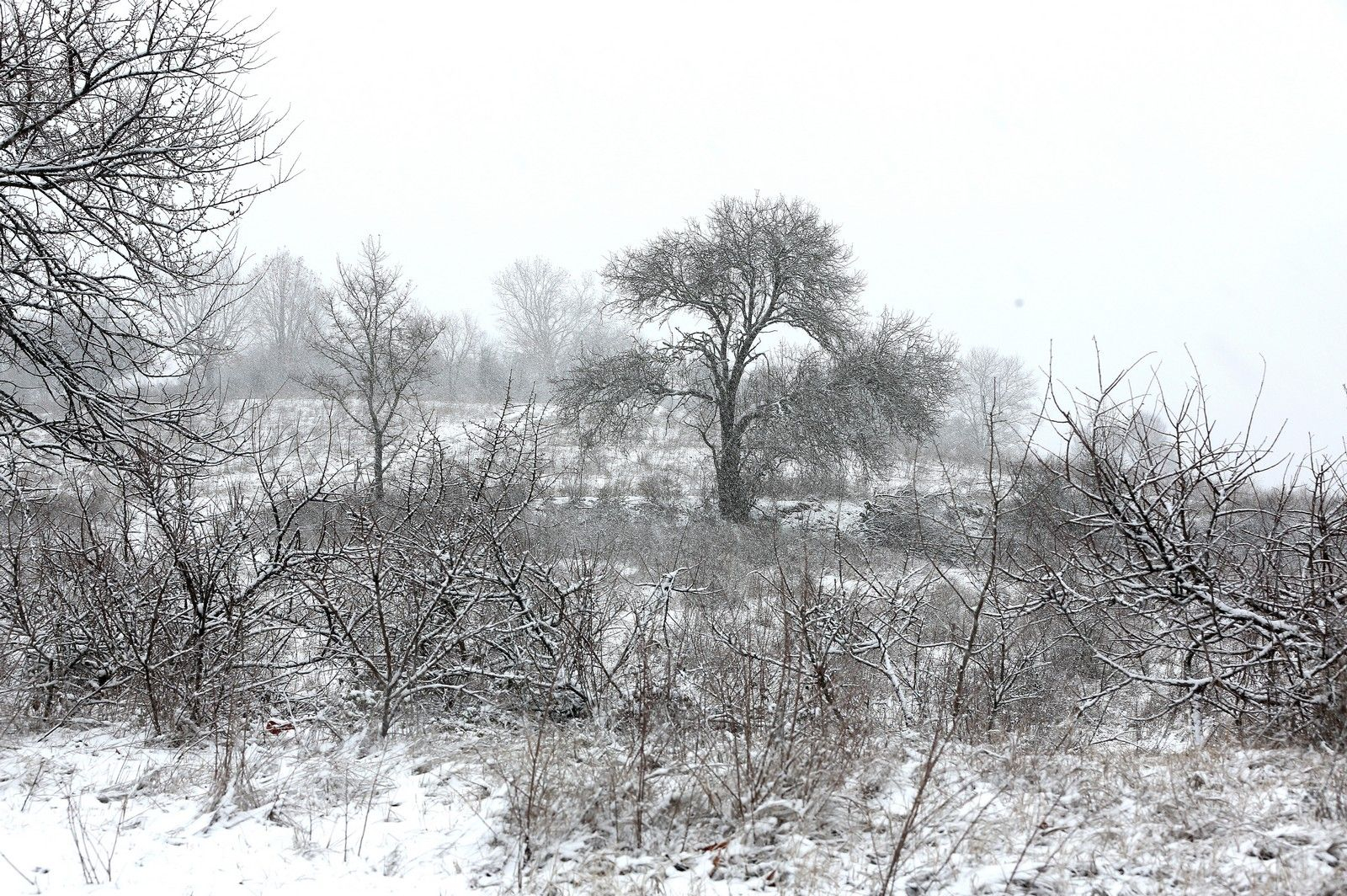 ΧΙΟΝΟΠΤΩΣΗ ΣΤΗ ΕΟ ΘΕΣΣΑΛΟΝΙΚΗΣ ΣΕΡΡΩΝ