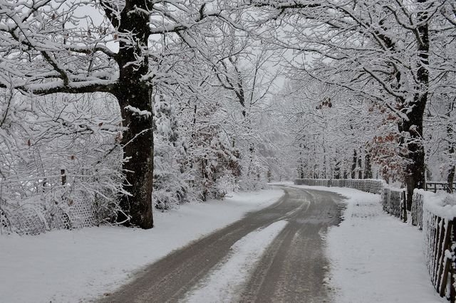 Χιόνια στην Πάρνηθα – Διακοπή κυκλοφορίας