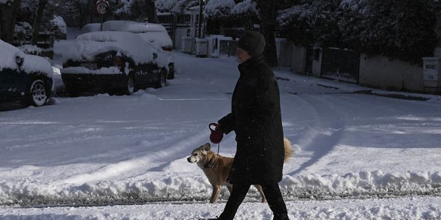 Χιόνια