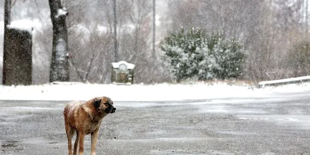 ΧΙΟΝΟΠΤΩΣΗ ΣΤΗ ΕΟ ΘΕΣΣΑΛΟΝΙΚΗΣ ΣΕΡΡΩΝ