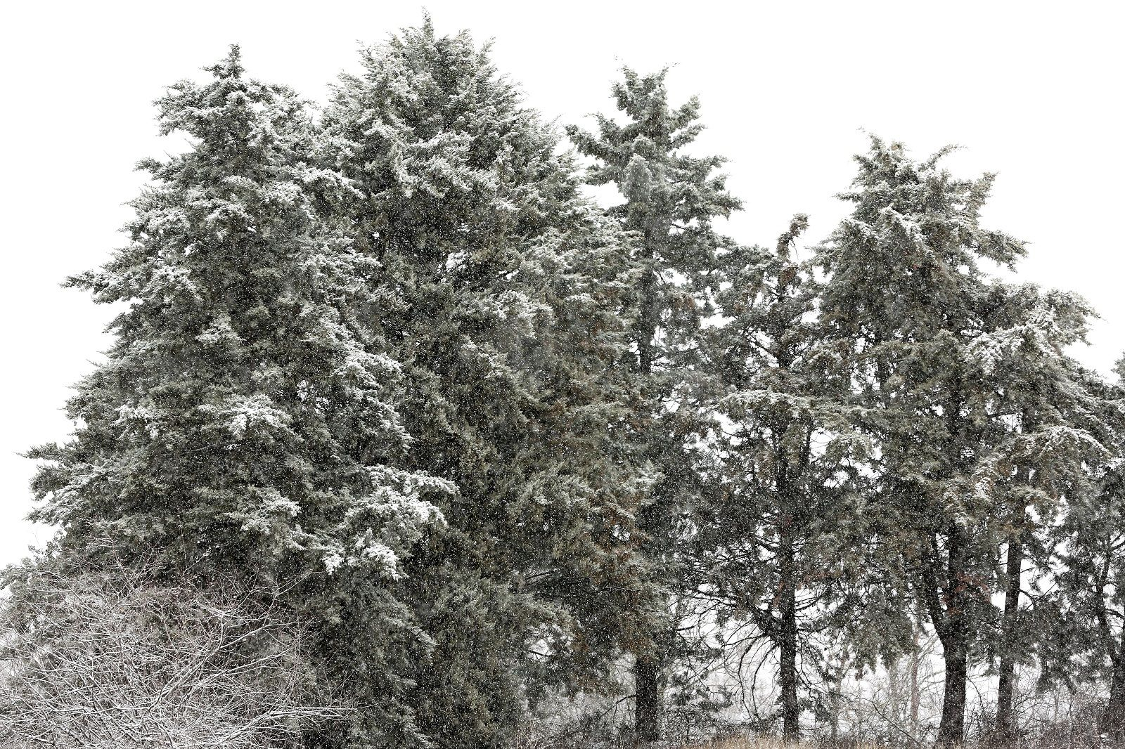 ΧΙΟΝΟΠΤΩΣΗ ΣΤΗ ΕΟ ΘΕΣΣΑΛΟΝΙΚΗΣ ΣΕΡΡΩΝ