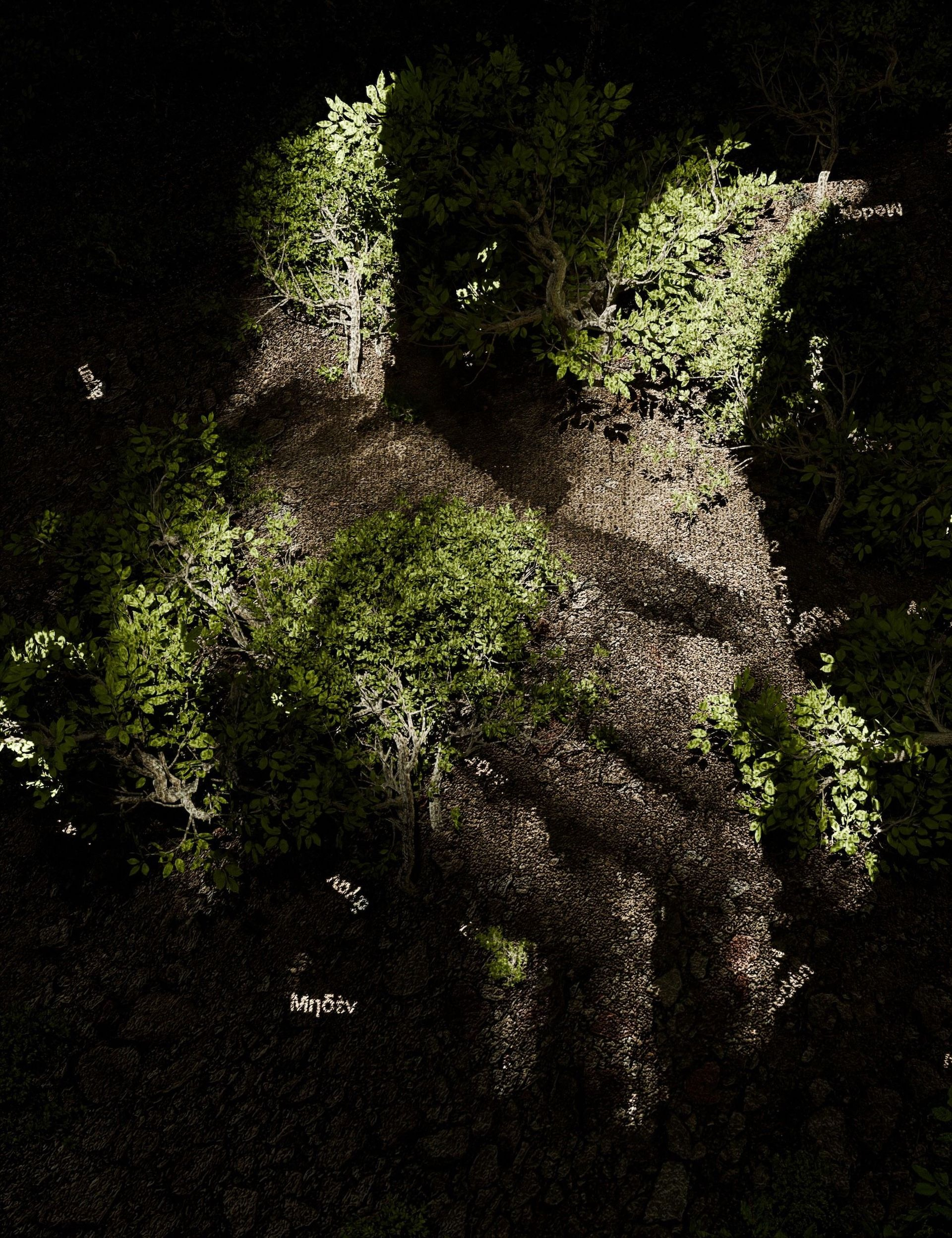 Charles Sandison, Garden of Pythia (Ο Κήπος της Πυθίας), 2025 (work in progress). 