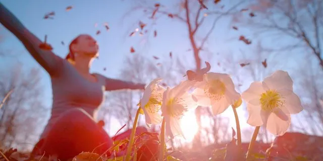 Αφροδίτη στον Ταύρο από 30/03/2026 – 24/04/2026: Ποια ζώδια θα ευνοηθούν στα οικονομικά και ποια σε σχέσεις και συνεργασίες