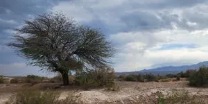 Ανάδρομος Πλούτωνας στον Υδροχόο από 05/05/2026 – 16/10/2026: Βαθιές και μεταμορφωτικές αλλαγές. Πώς θα επηρεαστούν τα 12 ζώδια;
