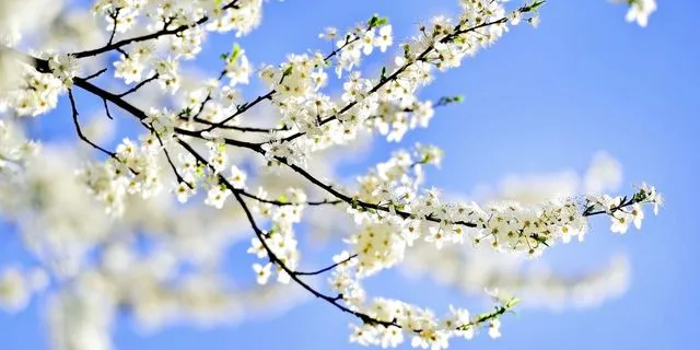 Εαρινή ισημερία – Ήλιος στον Κριό από τις 20/03/2026: Πώς θα επηρεαστούν τα 12 ζώδια;