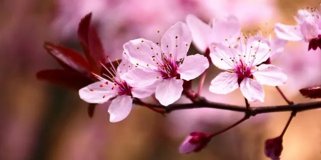 Ευνοϊκές και δύσκολες μέρες του Μαρτίου 2026