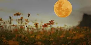 Η Πανσέληνος στον Σκορπιό την Πρωτομαγιά (01/05/2026) θα φέρει 4 ζώδια στα όρια τους