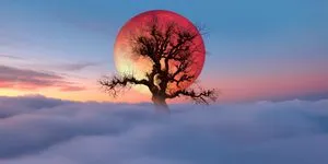 Η έκλειψη της «ματωμένης» Πανσελήνου στις 03/03/2026 θα φέρει αλλαγές και ανατροπές σε 4 ζώδια