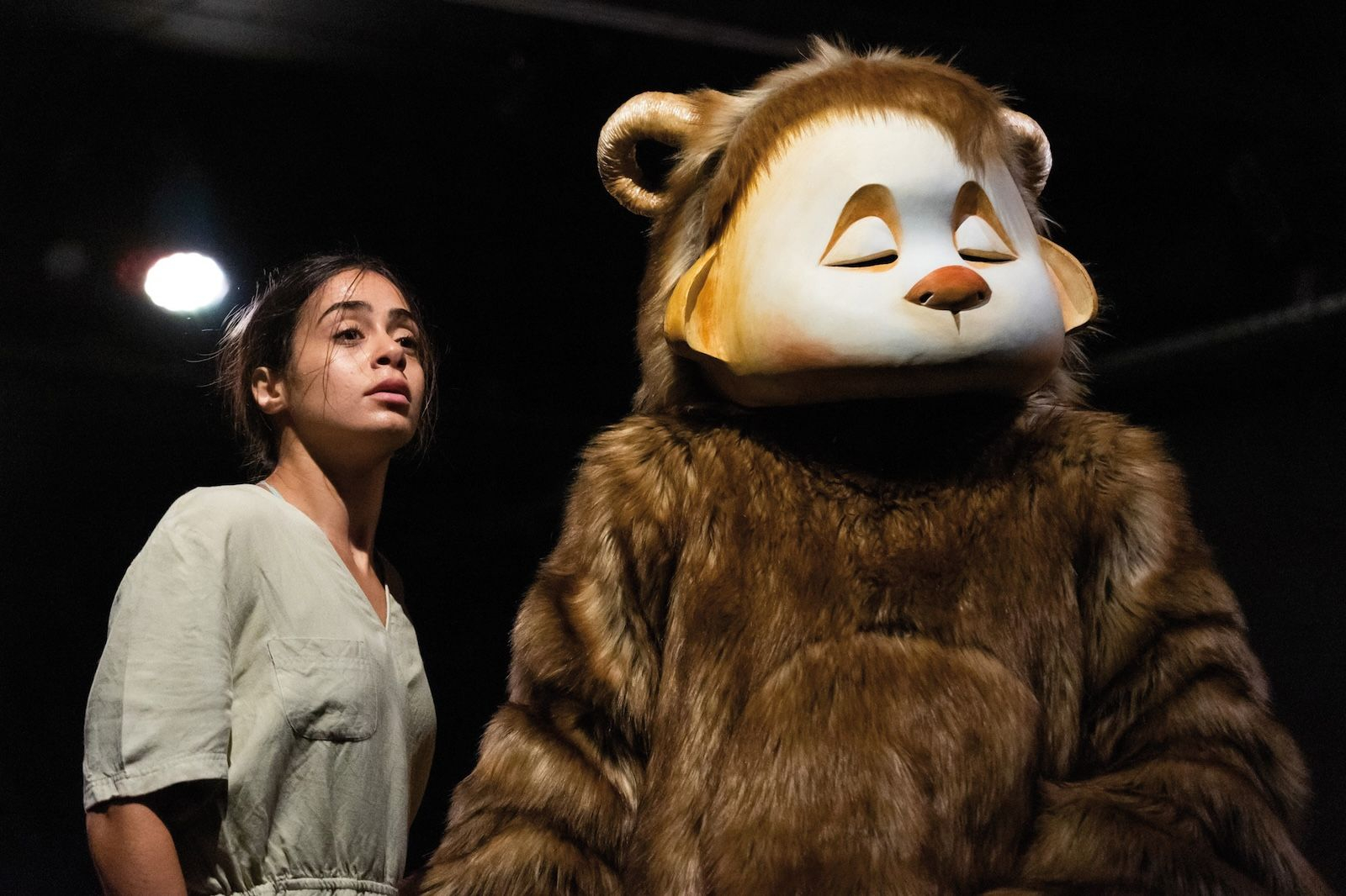 MOVING COLORS IV- Napi Land