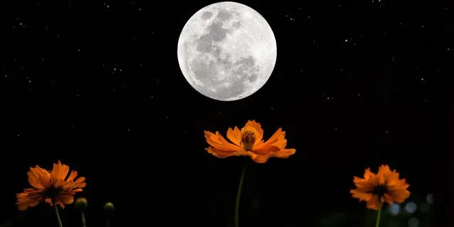 Πανσέληνος στον Σκορπιό την 1η Μαΐου 2026: Συναισθηματικά ξεσπάσματα, αποκαλύψεις και χειριστικά παιγνίδια. Πώς θα επηρεαστούν τα 12 ζώδια