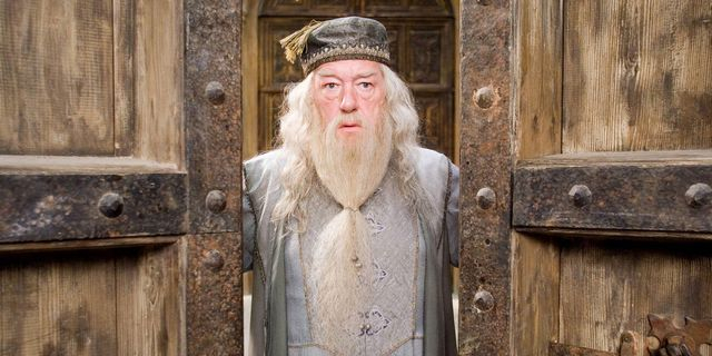 Harry Potter: Η επιλογή για τον ρόλο του Dumbledore στη σειρά του HBO ίσως σε απογοητεύσει