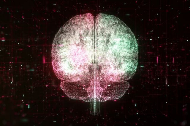 Ραγδαία η αύξηση της ποσότητας μικροπλαστικών στον ανθρώπινο εγκέφαλο