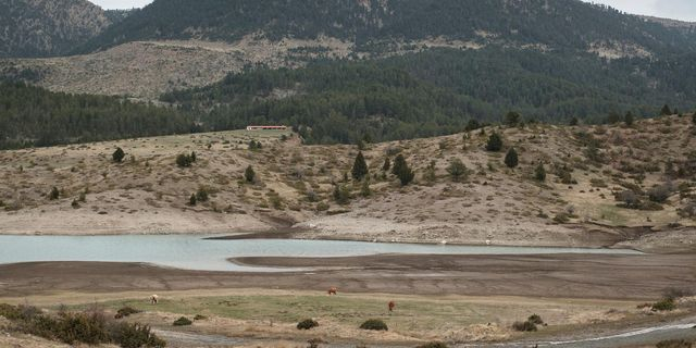 Πώς θα απελευθερώσουμε τα ποτάμια της Ελλάδας;