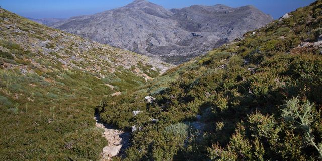 Μονοπάτι στον Ψηλορείτη (φωτογραφία αρχείου)