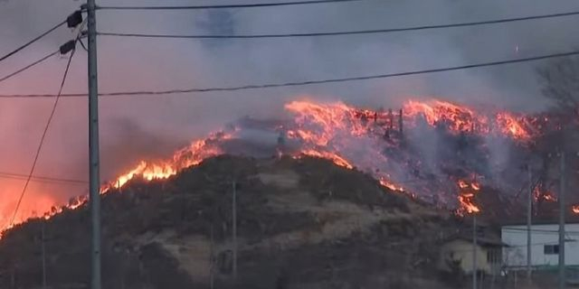 Μεγάλη πυρκαγιά κατακαίει τα δάση της Ιαπωνίας – Χιλιάδες εκκενώσεις