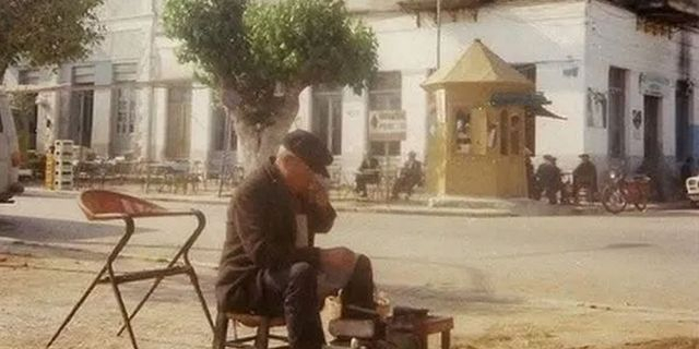 Φιλιατρά: Με μπλουζάκια… πανηγύριζαν το κόψιμο της ιστορικής μουριάς Ταμβάκη