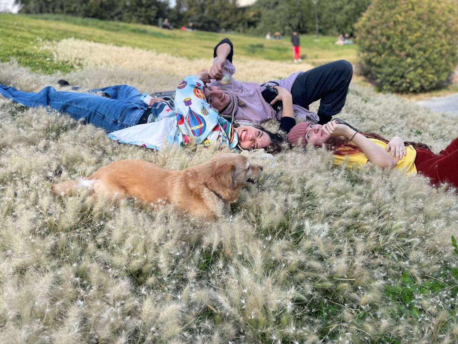 ΖΧ - Γιώργος Βαλαής