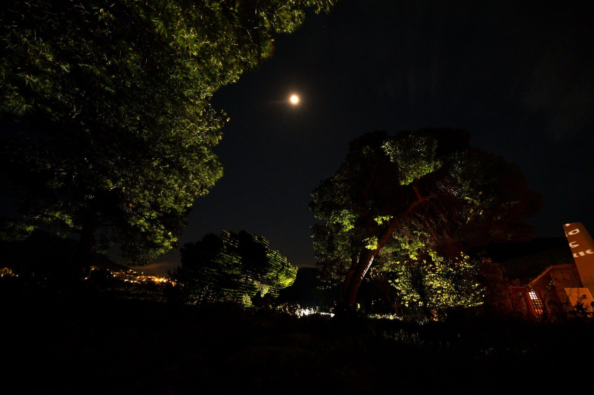 PCAI The Garden of Pythia