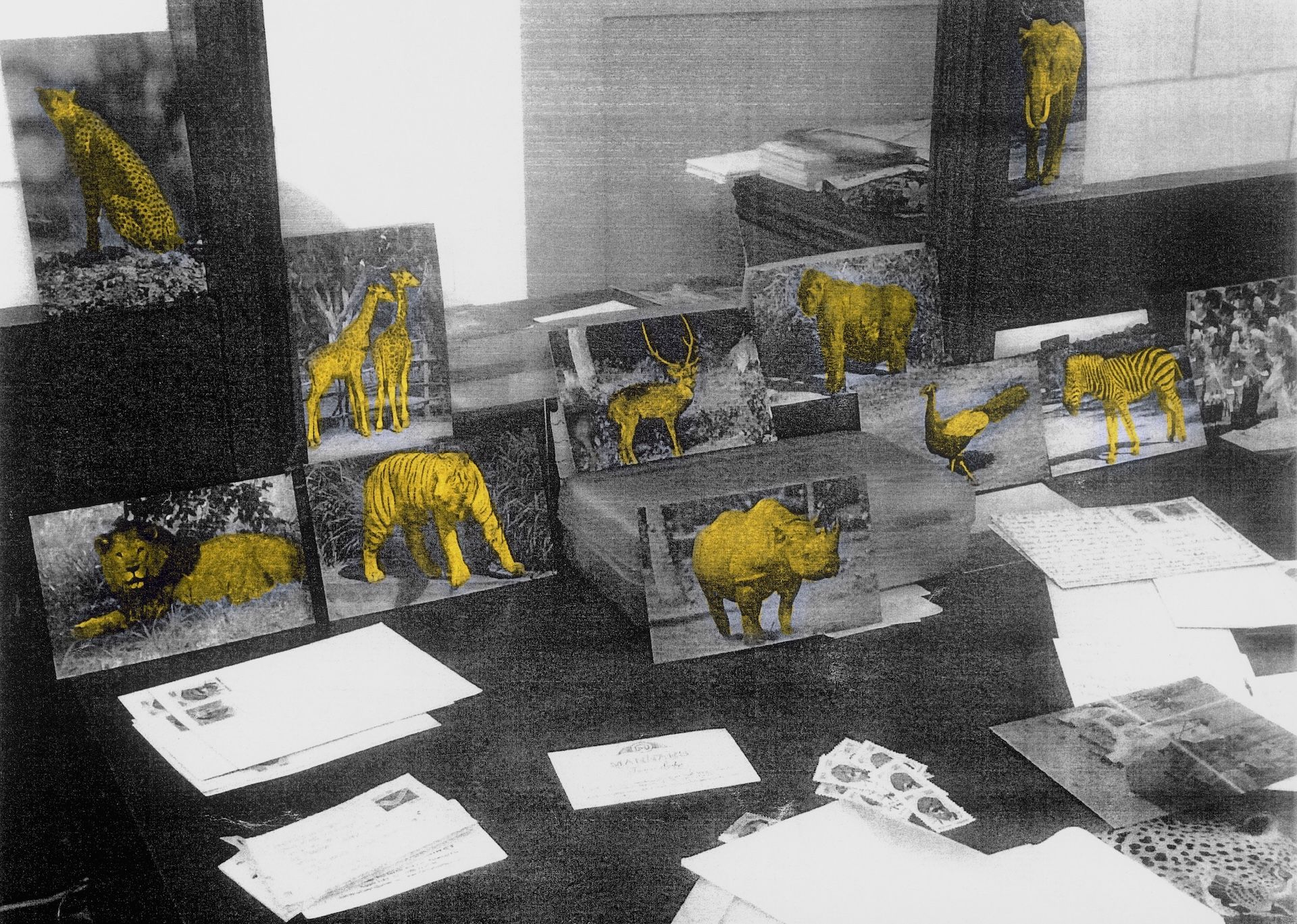 Αλέξανδρος Γεωργίου Jungle resort on my desk (Ένα ξενοδοχείο ζούγκλας πάνω στο γραφείο μου), 2017 Φωτογραφίες, μικτή τεχνική 21 x 30 εκ. Ευγενική παραχώρηση του καλλιτέχνη και της Γκαλερί Ρεβέκκα Καμχή, Αθήνα