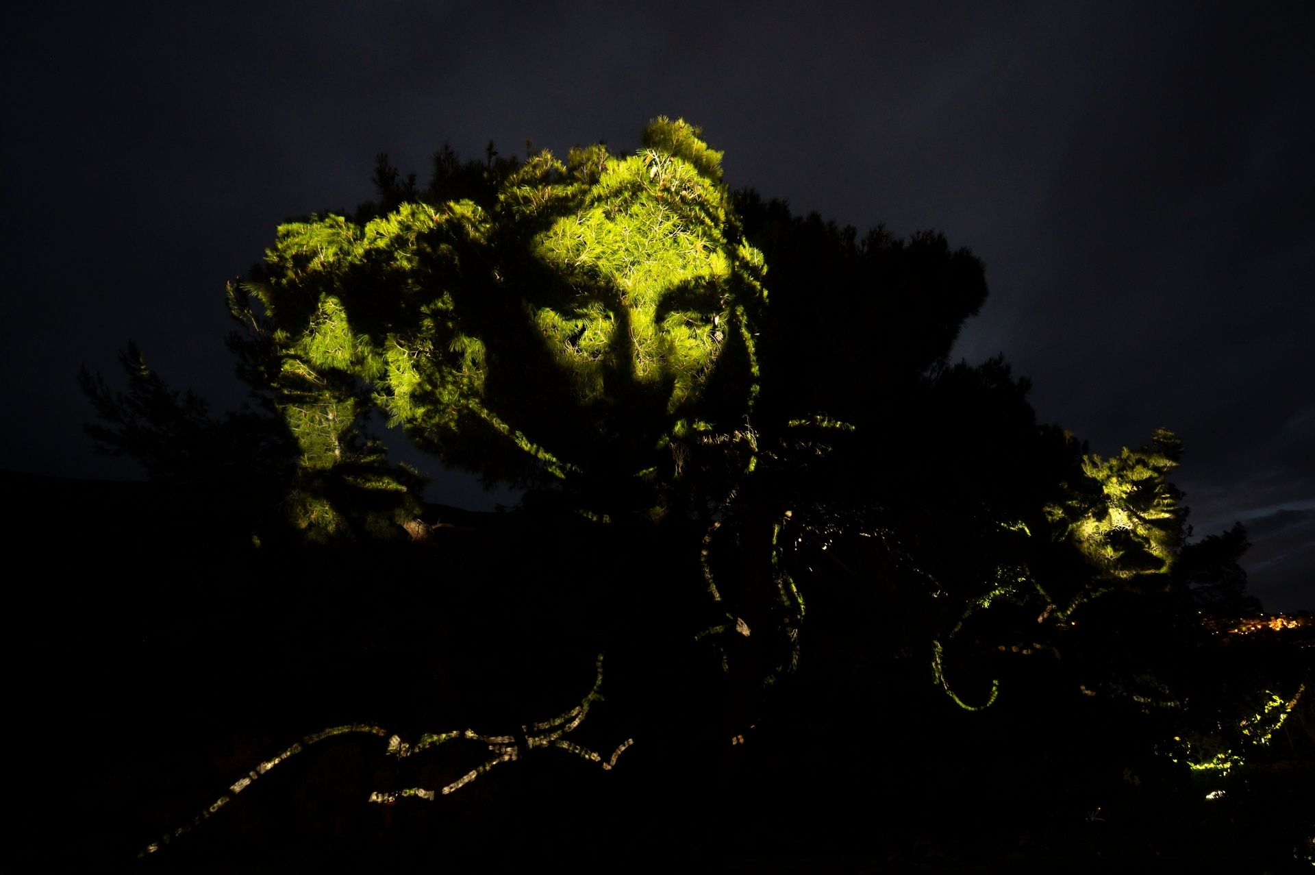 The Garden of Pythia