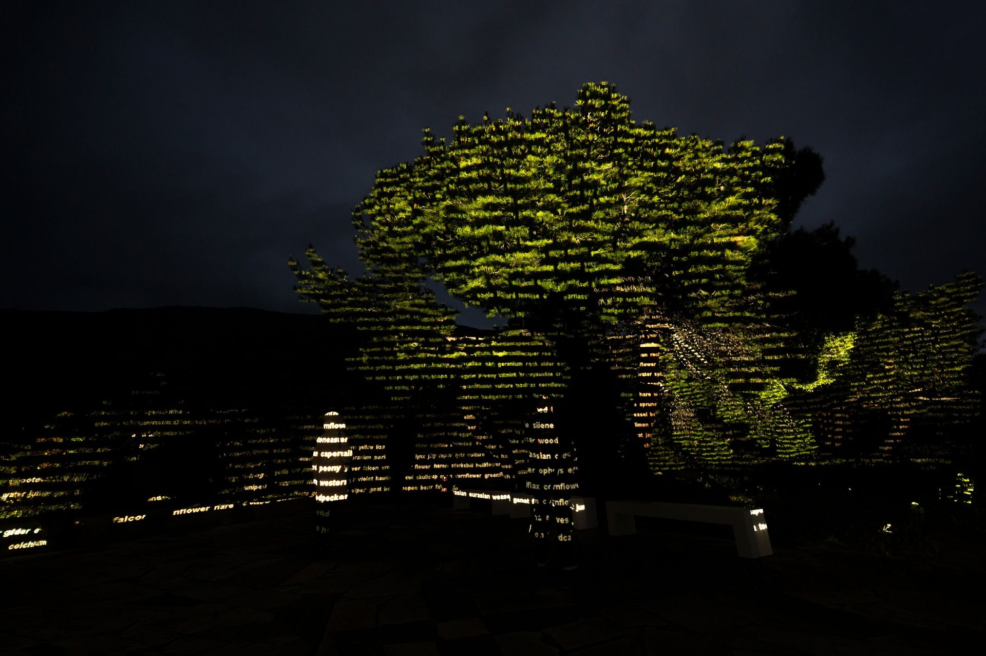 PCAI The Garden of Pythia