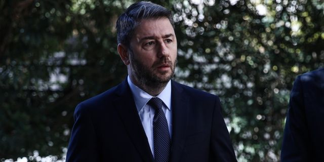 Νίκος Ανδρουλάκης