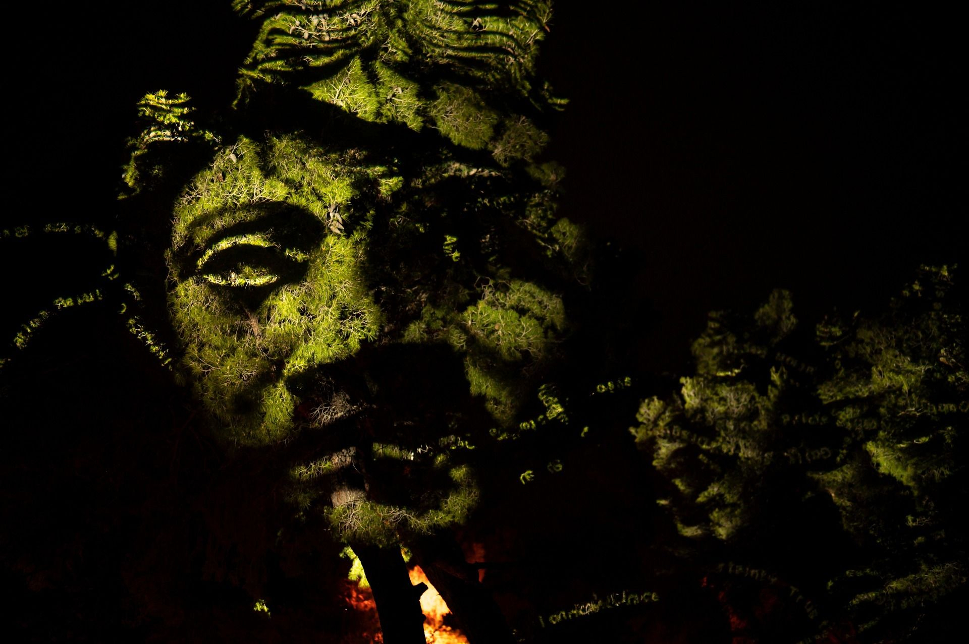 The Garden of Pythia